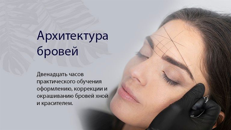 архитектура бровей
